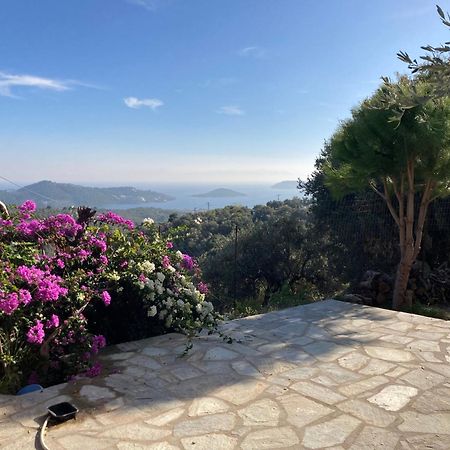 Tierra Villa Skiathos Town Bagian luar foto