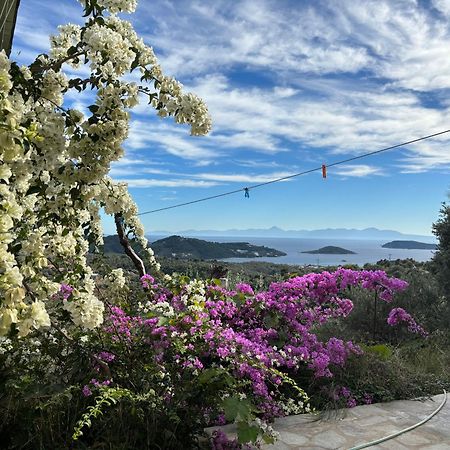Tierra Villa Skiathos Town Bagian luar foto