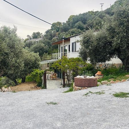 Tierra Villa Skiathos Town Bagian luar foto