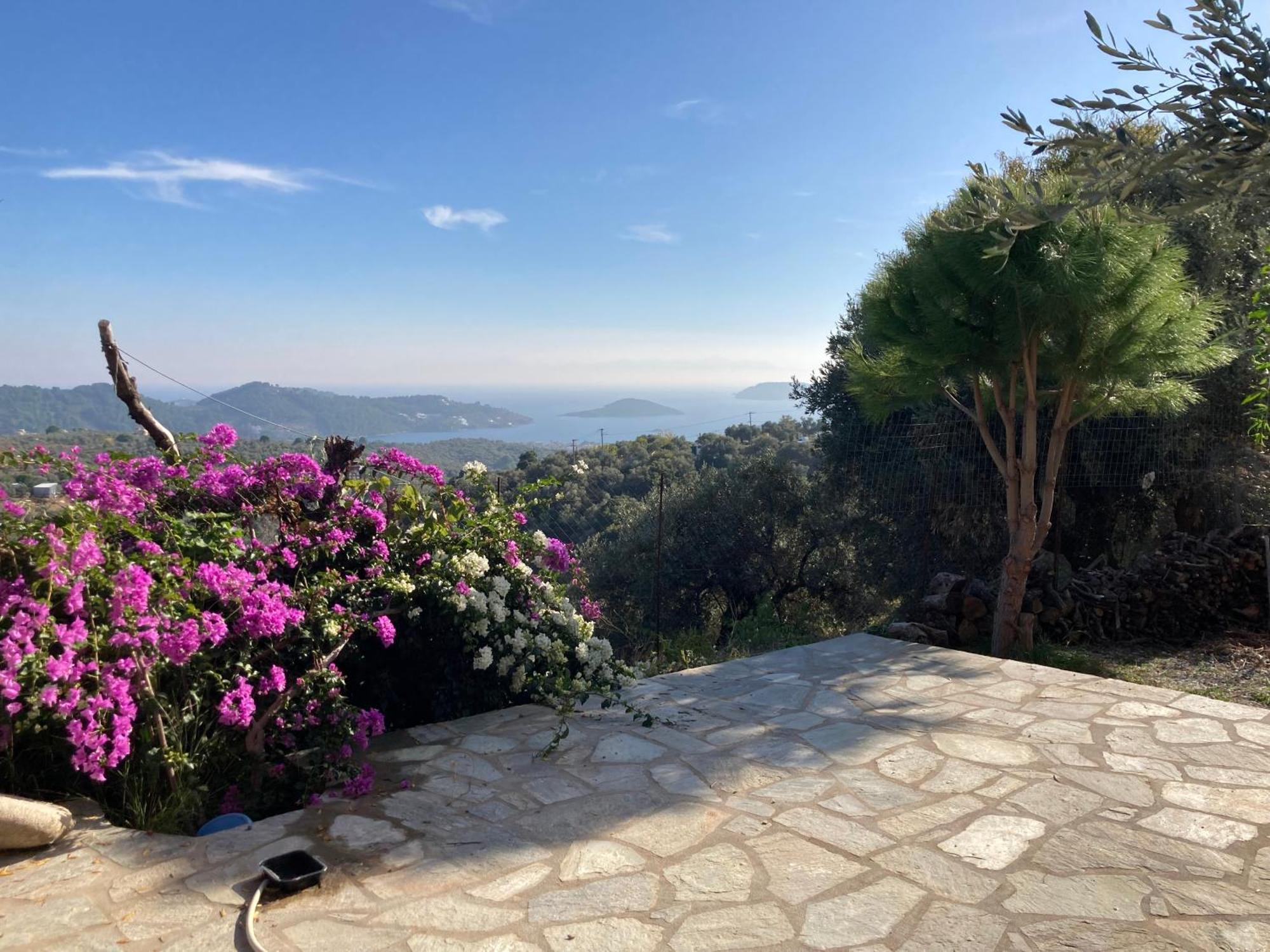 Tierra Villa Skiathos Town Bagian luar foto