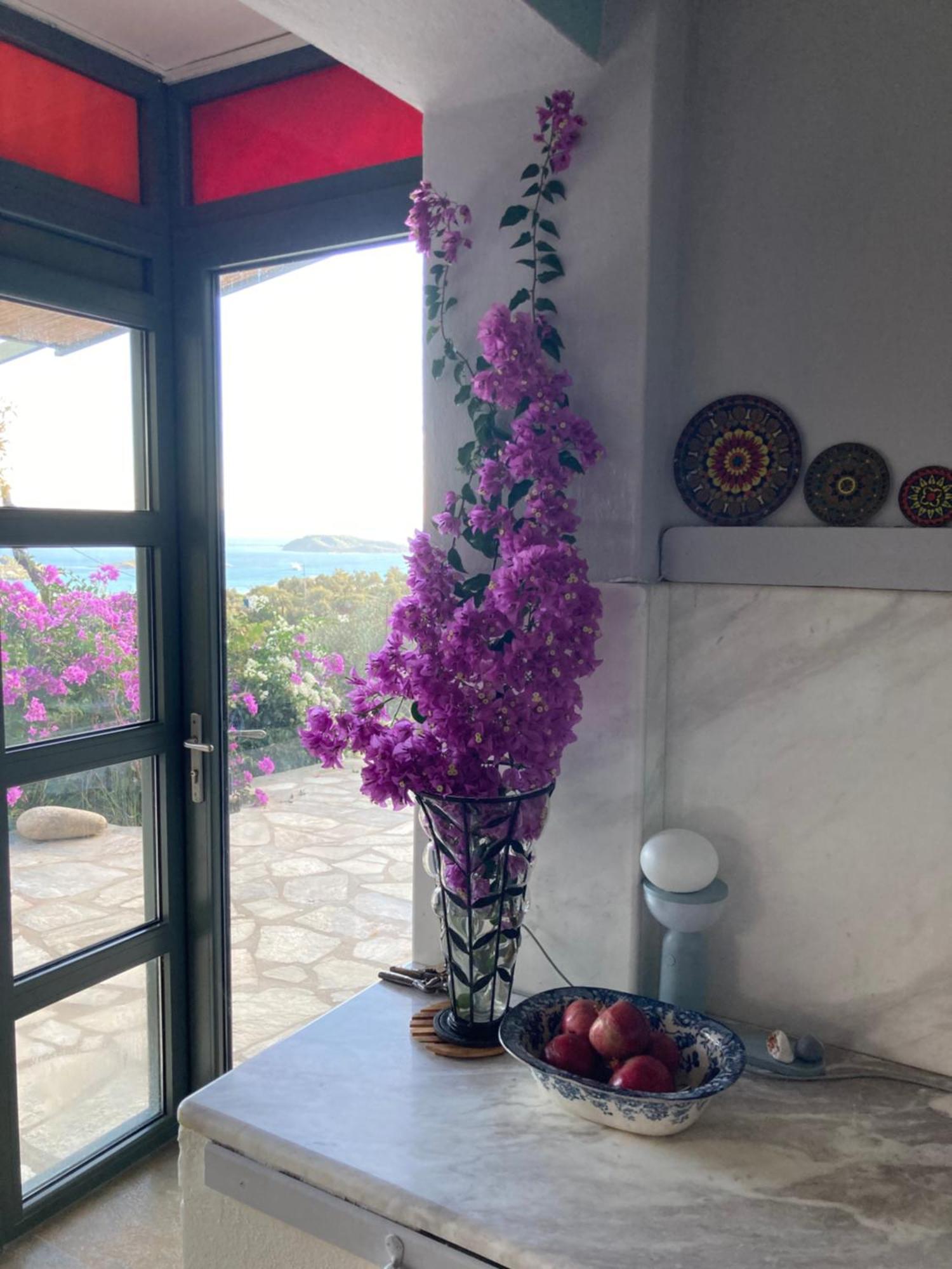 Tierra Villa Skiathos Town Bagian luar foto
