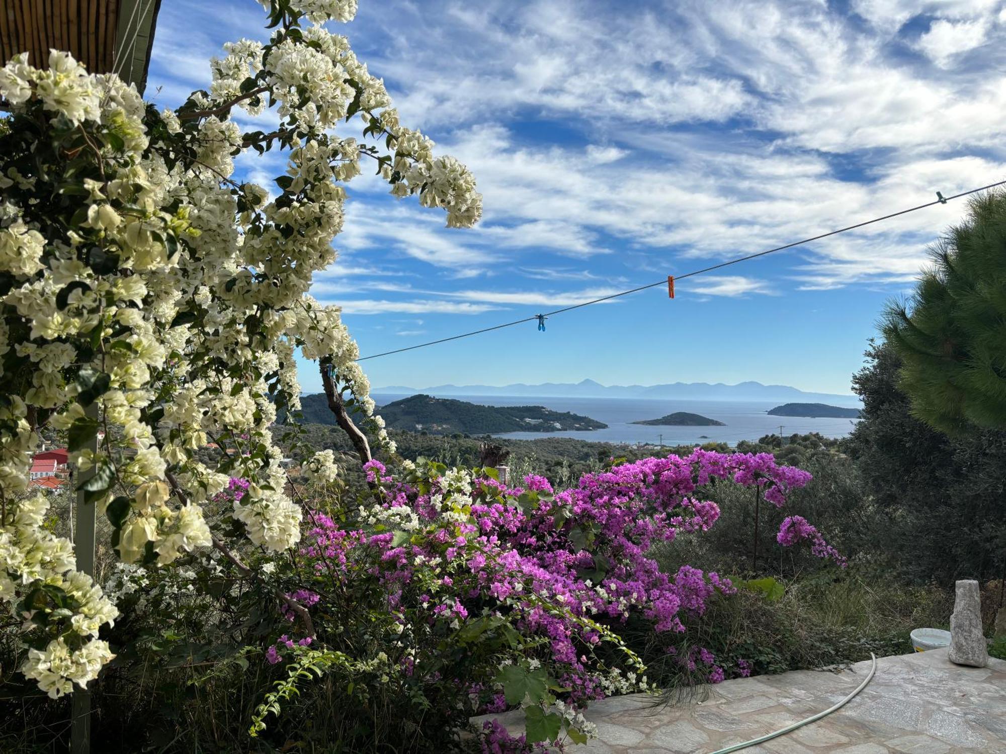 Tierra Villa Skiathos Town Bagian luar foto