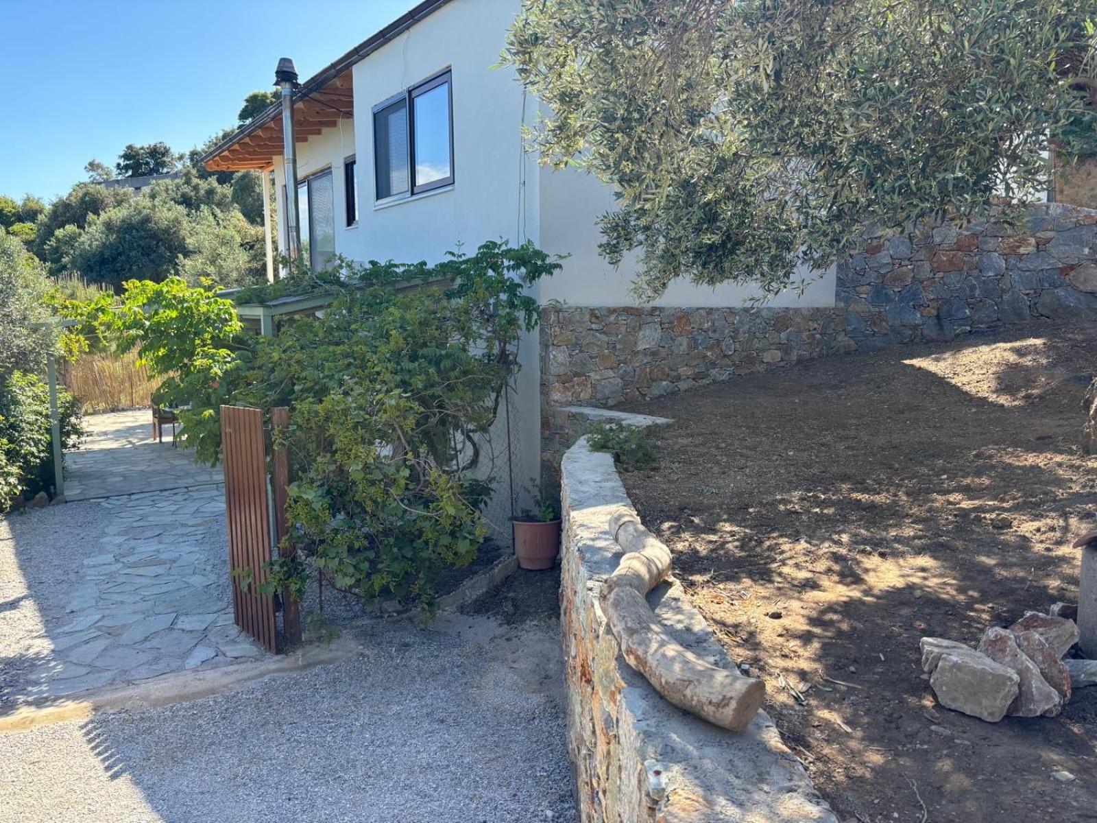 Tierra Villa Skiathos Town Bagian luar foto