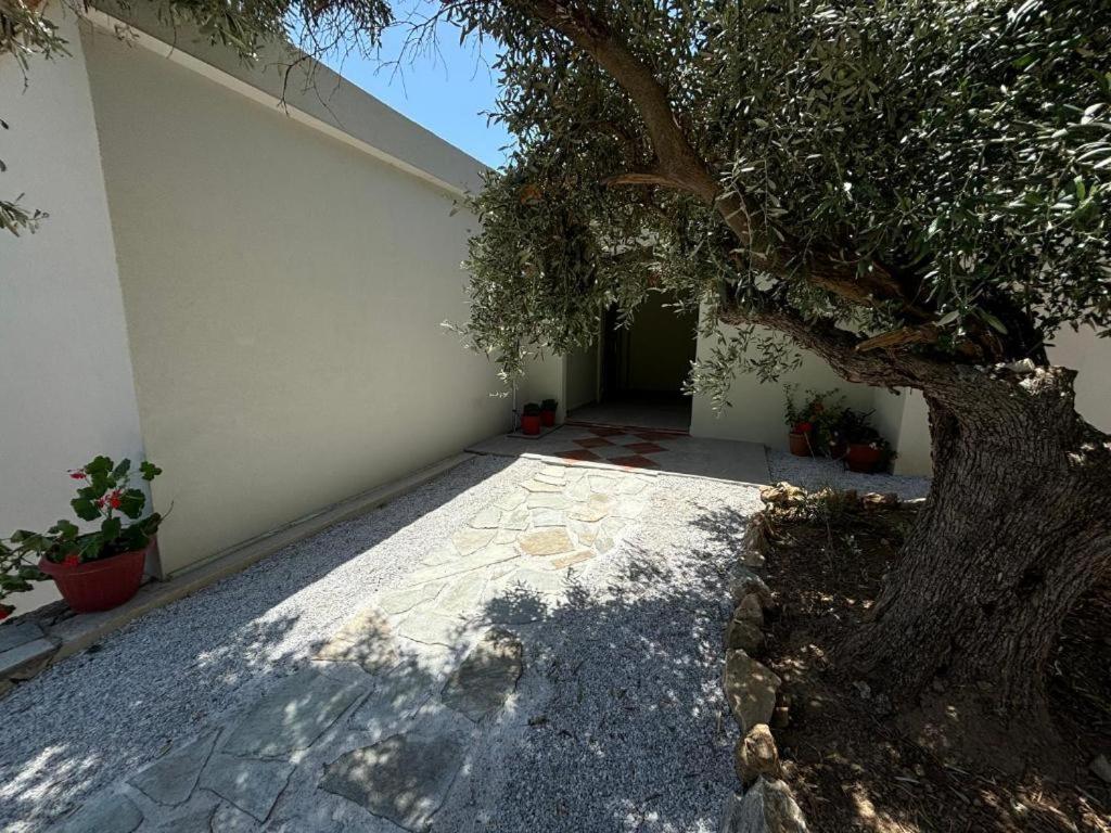 Tierra Villa Skiathos Town Bagian luar foto