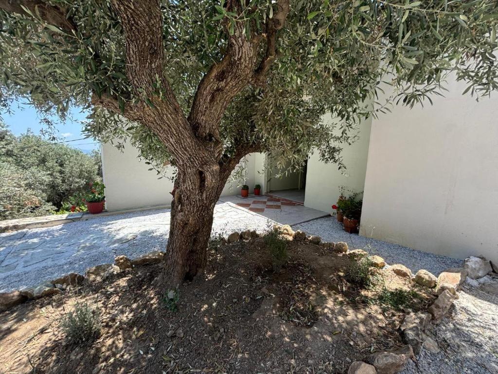 Tierra Villa Skiathos Town Bagian luar foto
