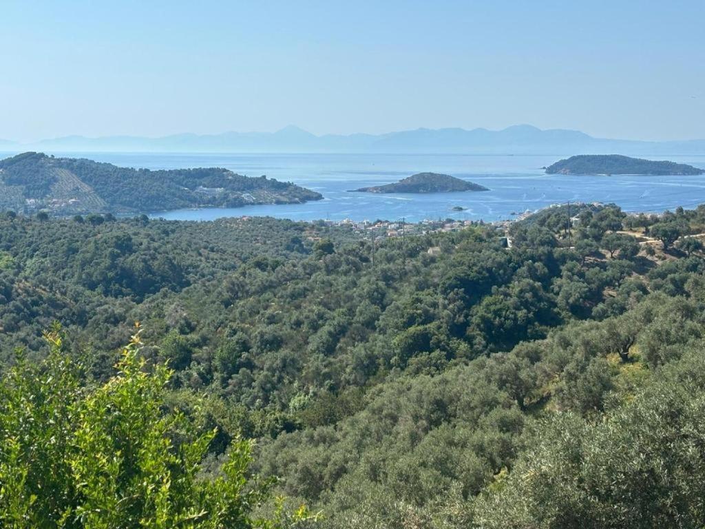 Tierra Villa Skiathos Town Bagian luar foto