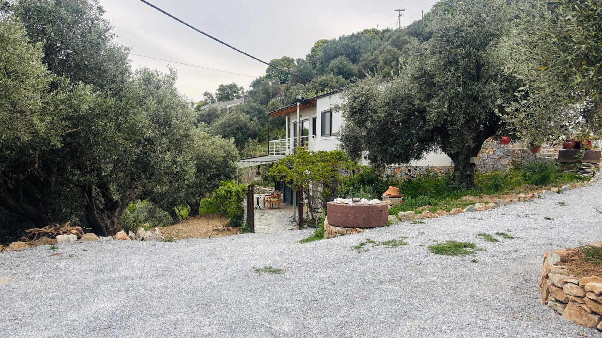 Tierra Villa Skiathos Town Bagian luar foto
